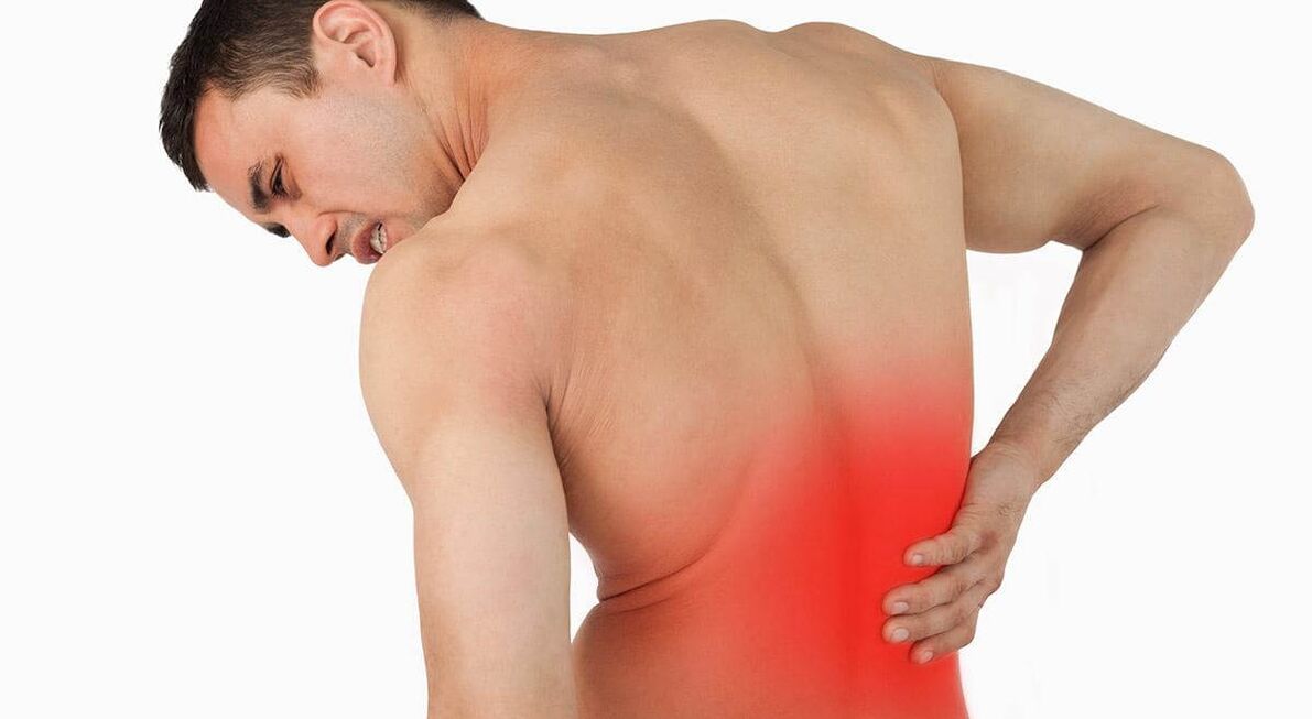 The causes of back pain